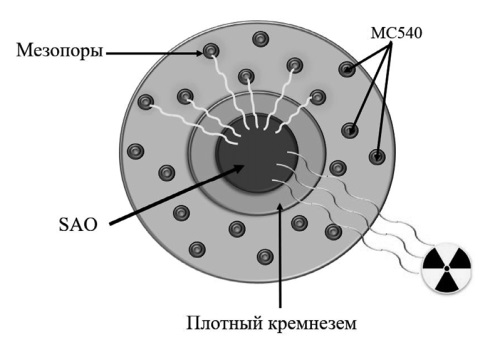 Изображение на обложке