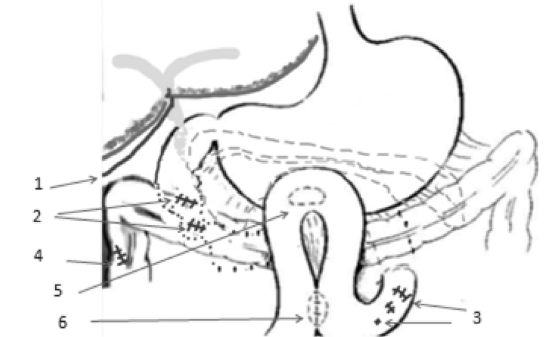 Изображение на обложке
