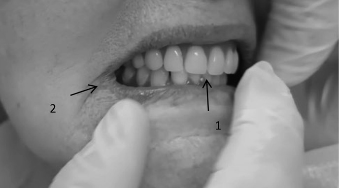 Изображение на обложке