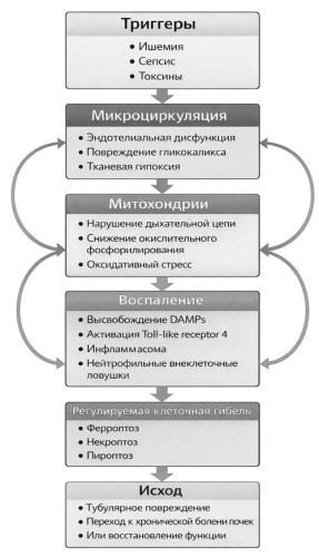 Изображение на обложке